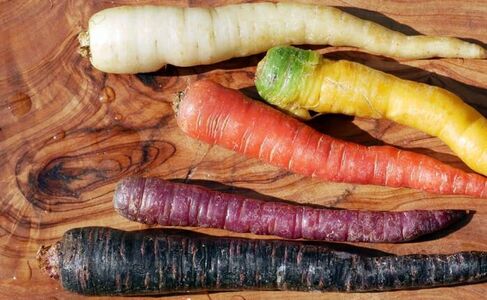 Nicht Karotte, nicht Pastinake, sieht aber so ähnlich aus: Petersilienwurzel