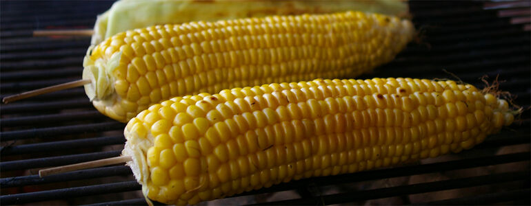 Im Sommer gibt es erntefrischen Mais, bis dahin können Sie ihn als Konserve bekommen