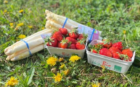 Ab Mai erwarten wir Erdbeeren