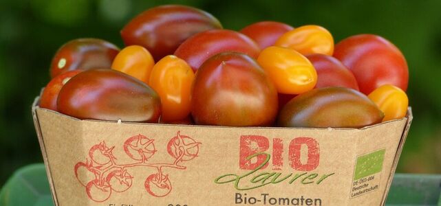 Klein, bunt, süß - der Tomatenmix ab Juli vom Laurer