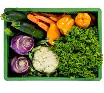 Gemüse, Salat und Kräuter.