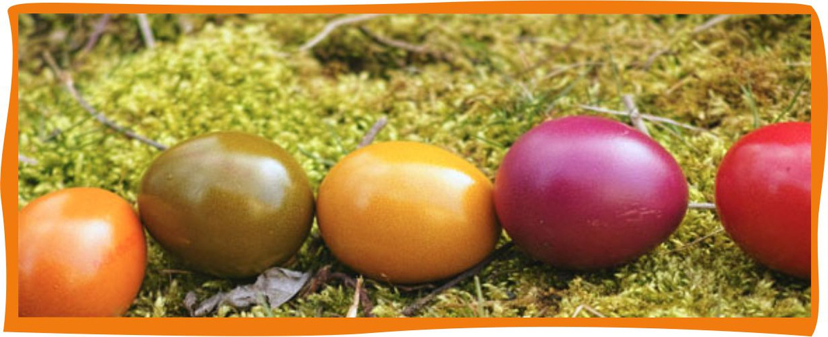 Kundenbrief KW 14/26