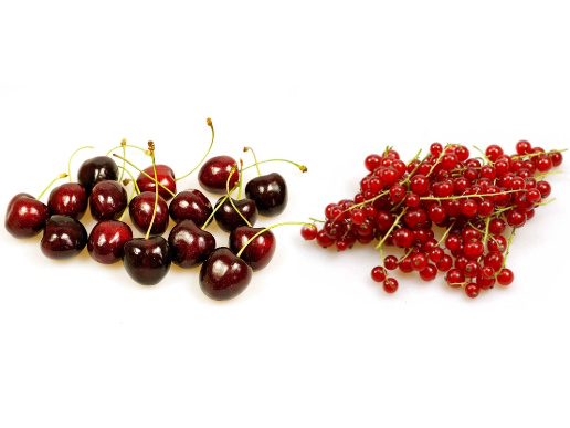 Kirschen & Johannisbeeren