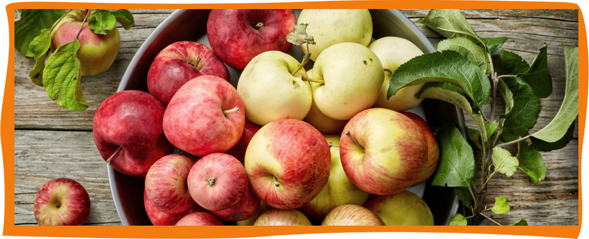 Kundenbrief KW 35/25