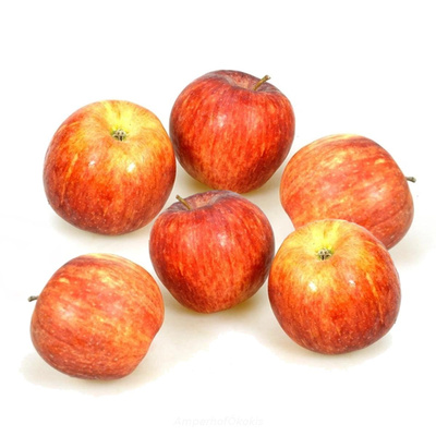 Produktfoto zu Äpfel ca. 5 kg wechselnde Apfelsorte