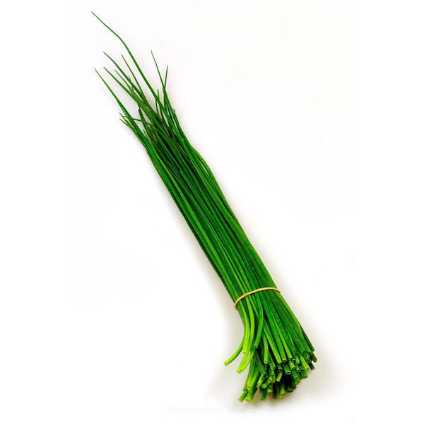 product photo for Schnittlauch Bund