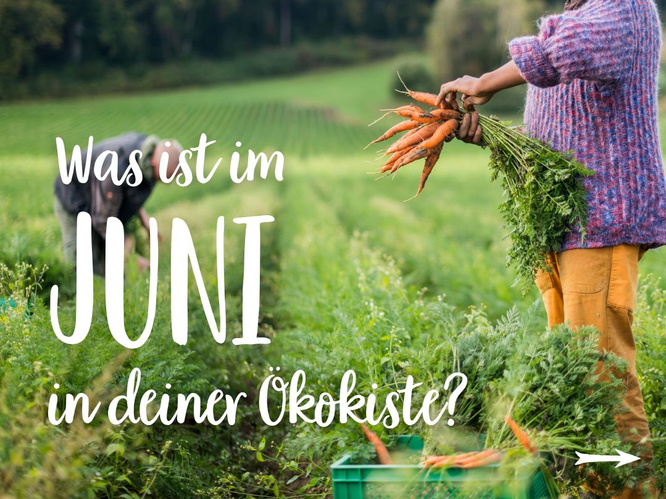 Saisonkalender Juni