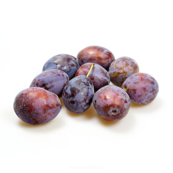 Produktfoto zu Zwetschgen ca. 500g