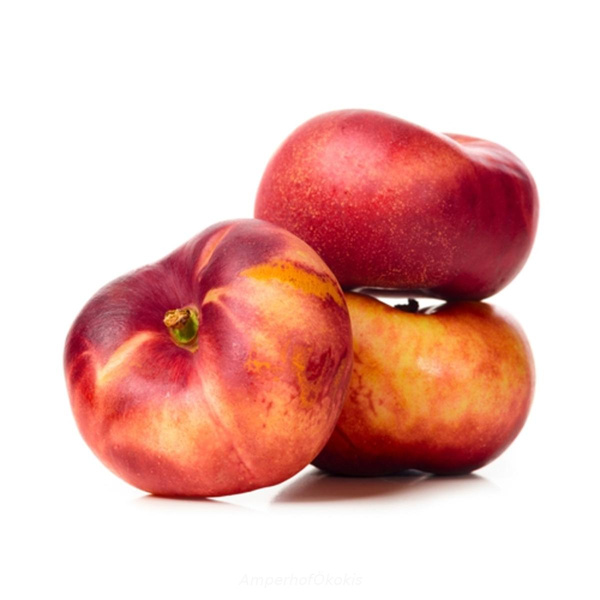 Produktfoto zu Flach-Nektarinen
