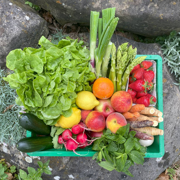 Entdecken Sie unsere verschiedenen Ökokisten