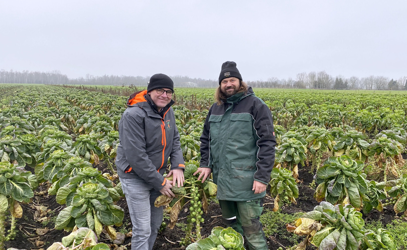 Unser Michl mit Peter Zenker vom Fritzhof auf dem Rosenkohlfeld