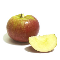Cox Orange