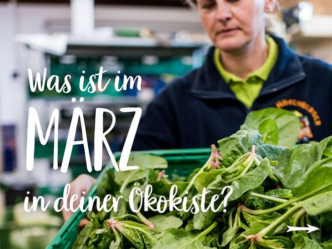 Saisonkalender-März-Teaser