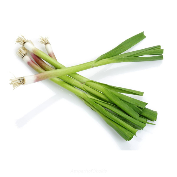 Produktfoto zu Junger frischer Knoblauch im Bund