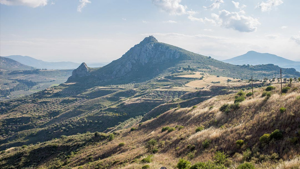 Die Olivenhaine und Weinberge der Familie Kontogiannis liegen an den Ausläufern des antiken Korinth auf dem Peloponnes in Griechenland. Die Olivenbäume tragen Oliven der Sorten Manaki und Koroneiki.