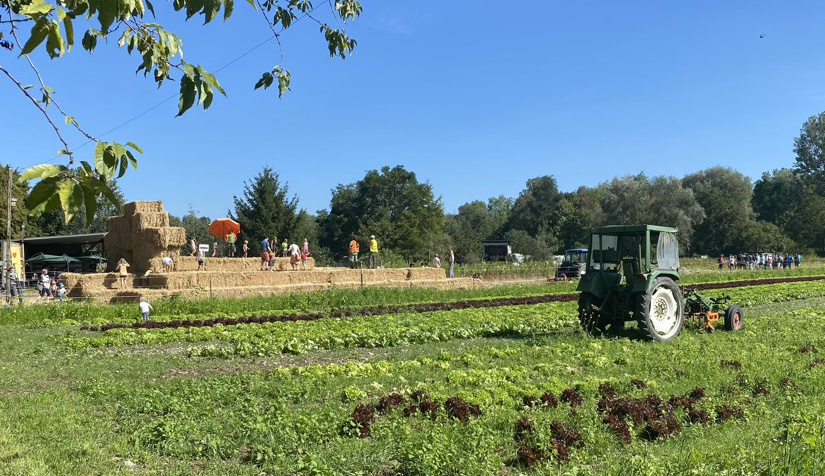Naturmandala zum Hoffest