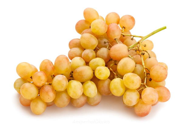 Produktfoto zu Kernlose blaue, rosé Trauben ca. 500g