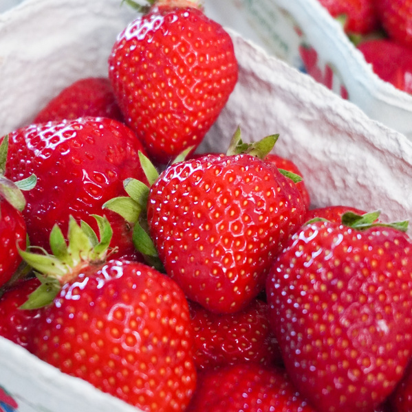 KI generiert: Frische Erdbeeren in einer Pappschale.
