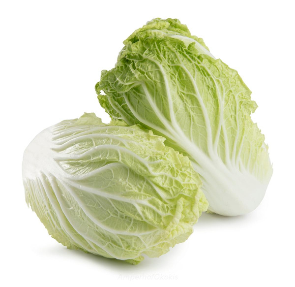 Produktfoto zu Chinakohl