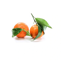Blattmandarine