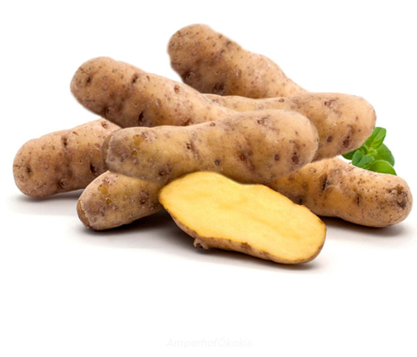 Produktfoto zu Frühkartoffeln festkochend Avanti 2kg Neue Ernte