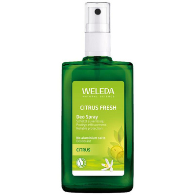Produktfoto zu Citrus Deospray 100 ml