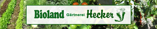 Logo Hecker
