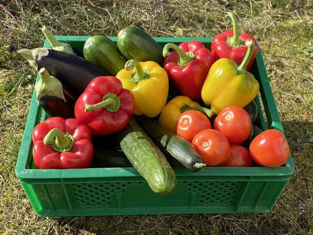 Fruchtgemüse bringt Abwechslung in die Winterküche