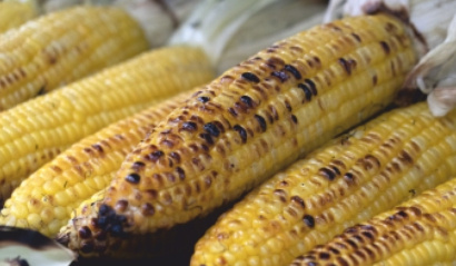 Zuckermais vom Grill