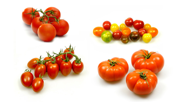 Tomatensorten