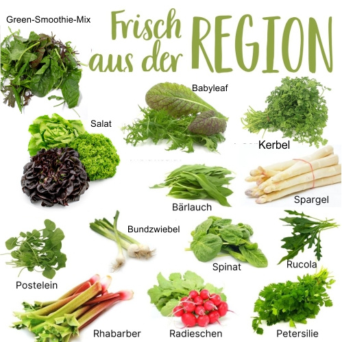 Saisonkalender April Region