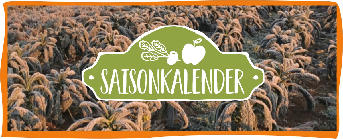 Saisonkalender Januar Header