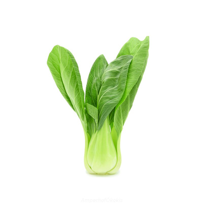 Produktfoto zu Bok Choy