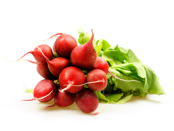 KI generiert: Ein Bund frische Radieschen mit grünen Blättern vor weißem Hintergrund.