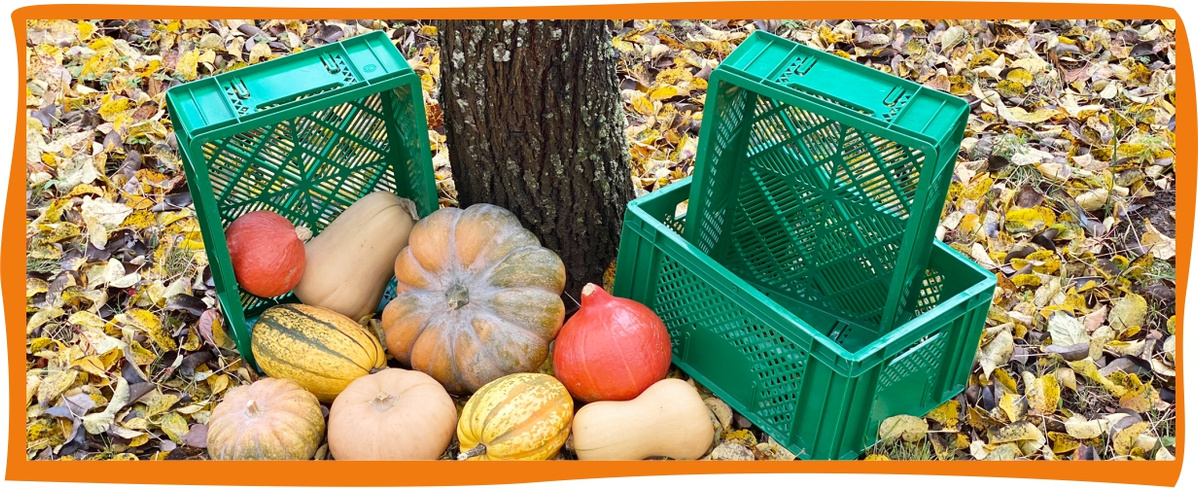 Kundenbrief KW 43/25