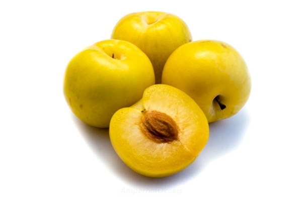 Produktfoto zu Pflaumen gelb