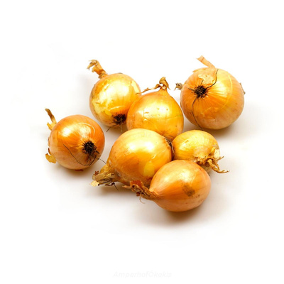 Produktfoto zu Zwiebel