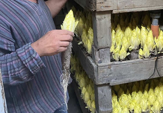 Peter Stinshoff vom Obergrashof zeigt das besondere Treibhaus