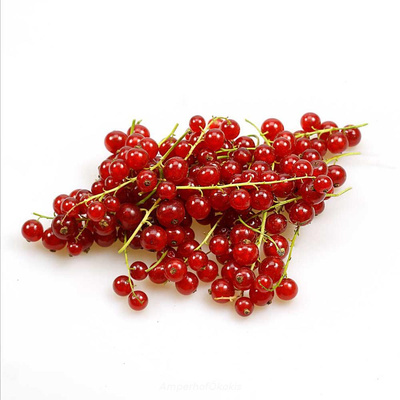 Produktfoto zu Rote Johannisbeeren ca. 250g