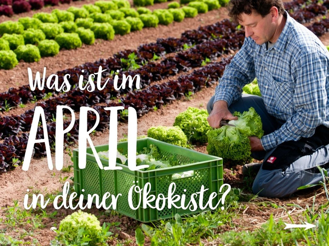 Saisonkalender-April-Teaser