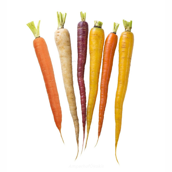 product photo for Möhren bunt