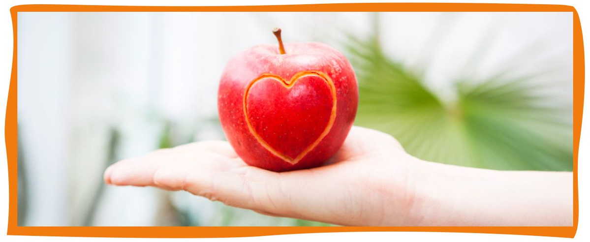 EU-Schulprogramm - Obst, Gemüse, Milch und Milchprodukte für Bayerns Kinder