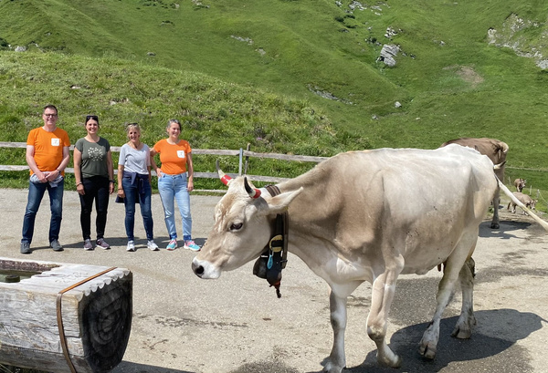 Was ist ein Lebensmittel wert?