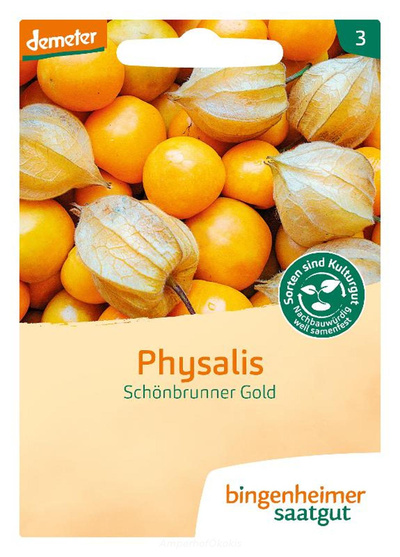 product photo for Saat: Physalis Schönbrunner Gold