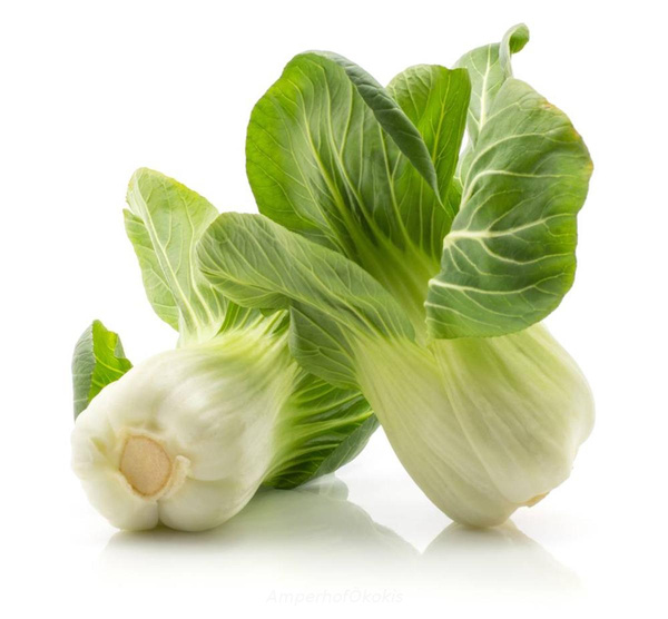 Produktfoto zu Pak Choi Stück