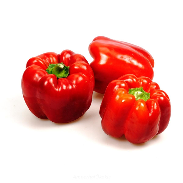 product photo for Paprika rot