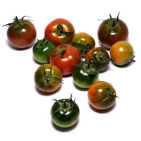 Camone_Salztomate