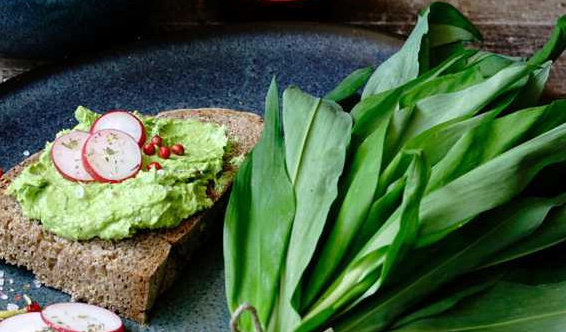 Avocado-Brot-Bärlauch