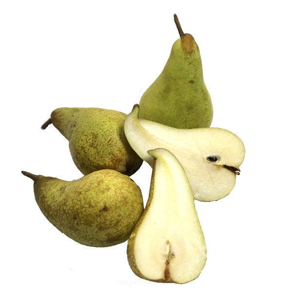 Produktfoto zu Birne Cepuna