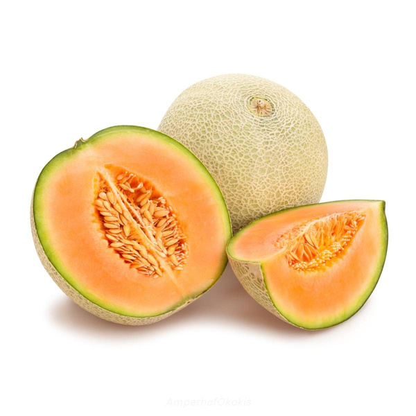 Produktfoto zu Melone Cantaloupe